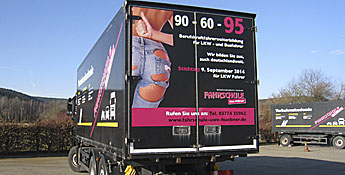 EU-Berufskraftfahrer / 95